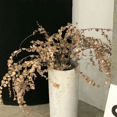 兽设洞穴场景设计FurryQQ群